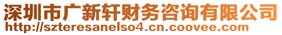 深圳市广新轩财务咨询有限公司