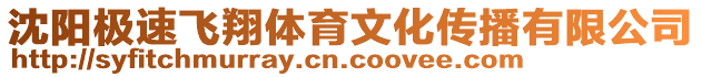 沈陽極速飛翔體育文化傳播有限公司