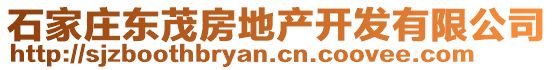 石家莊東茂房地產(chǎn)開(kāi)發(fā)有限公司