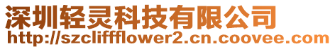 深圳輕靈科技有限公司