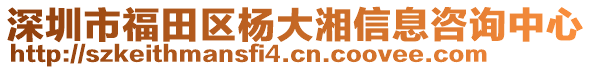 深圳市福田區(qū)楊大湘信息咨詢中心