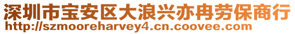 深圳市寶安區大浪興亦冉勞保商行