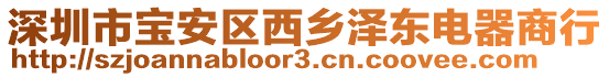 深圳市寶安區西鄉澤東電器商行