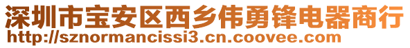 深圳市寶安區(qū)西鄉(xiāng)偉勇鋒電器商行