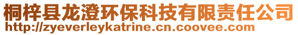 桐梓縣龍澄環保科技有限責任公司