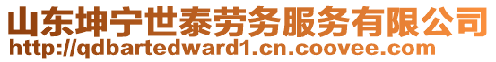 山東坤寧世泰勞務(wù)服務(wù)有限公司