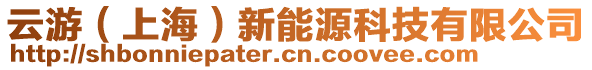 云游（上海）新能源科技有限公司