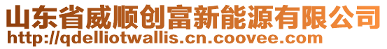 山東省威順創(chuàng)富新能源有限公司