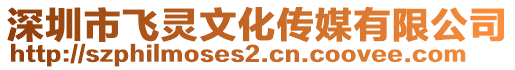 深圳市飛靈文化傳媒有限公司