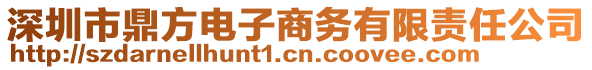 深圳市鼎方電子商務(wù)有限責(zé)任公司