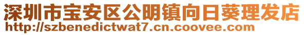 深圳市寶安區(qū)公明鎮(zhèn)向日葵理發(fā)店