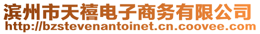 濱州市天禧電子商務(wù)有限公司