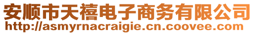 安順市天禧電子商務(wù)有限公司