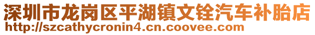 深圳市龍崗區(qū)平湖鎮(zhèn)文銓汽車補(bǔ)胎店