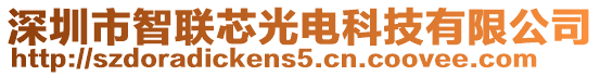 深圳市智聯(lián)芯光電科技有限公司