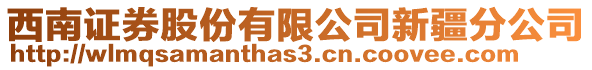 西南證券股份有限公司新疆分公司