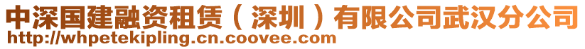 中深國建融資租賃（深圳）有限公司武漢分公司