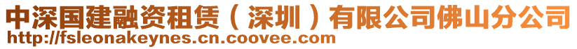 中深國建融資租賃（深圳）有限公司佛山分公司