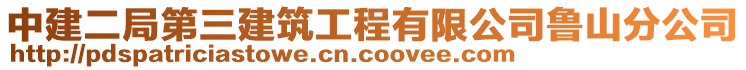 中建二局第三建筑工程有限公司魯山分公司