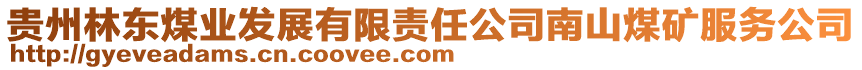 貴州林東煤業發展有限責任公司南山煤礦服務公司