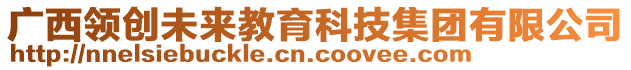 廣西領(lǐng)創(chuàng)未來教育科技集團(tuán)有限公司