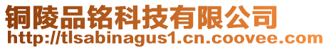 銅陵品銘科技有限公司