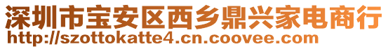 深圳市寶安區(qū)西鄉(xiāng)鼎興家電商行