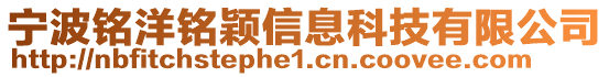 寧波銘洋銘穎信息科技有限公司