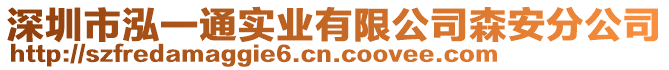 深圳市泓一通實業(yè)有限公司森安分公司