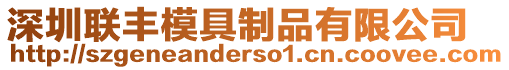 深圳聯(lián)豐模具制品有限公司