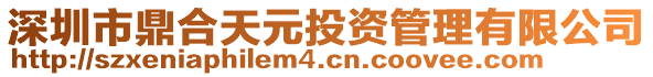 深圳市鼎合天元投資管理有限公司