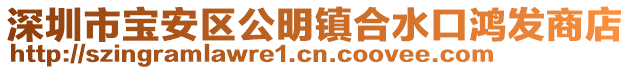 深圳市寶安區(qū)公明鎮(zhèn)合水口鴻發(fā)商店