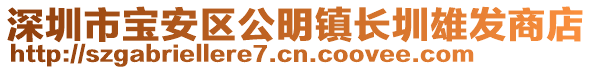 深圳市寶安區(qū)公明鎮(zhèn)長圳雄發(fā)商店