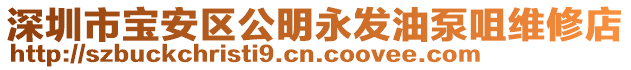 深圳市寶安區(qū)公明永發(fā)油泵咀維修店