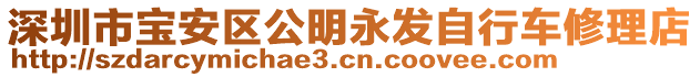 深圳市寶安區(qū)公明永發(fā)自行車修理店