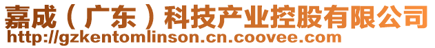 嘉成（廣東）科技產(chǎn)業(yè)控股有限公司