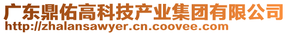 廣東鼎佑高科技產(chǎn)業(yè)集團有限公司