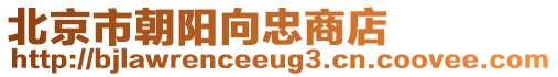 北京市朝陽向忠商店