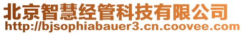 北京智慧經(jīng)管科技有限公司