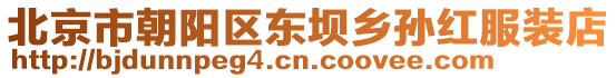 北京市朝陽區東壩鄉孫紅服裝店
