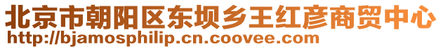 北京市朝陽區東壩鄉王紅彥商貿中心