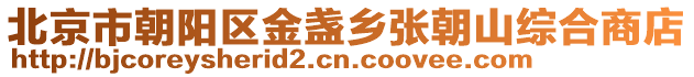 北京市朝陽區(qū)金盞鄉(xiāng)張朝山綜合商店