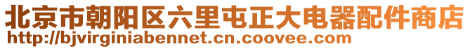 北京市朝陽區(qū)六里屯正大電器配件商店