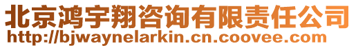 北京鴻宇翔咨詢有限責任公司