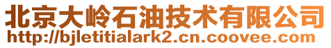 北京大嶺石油技術有限公司