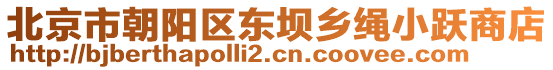 北京市朝陽區(qū)東壩鄉(xiāng)繩小躍商店