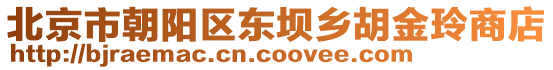北京市朝陽區東壩鄉胡金玲商店