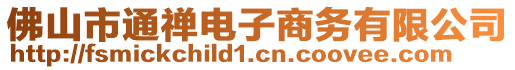 佛山市通禪電子商務(wù)有限公司