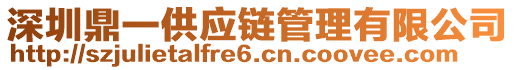 深圳鼎一供應(yīng)鏈管理有限公司