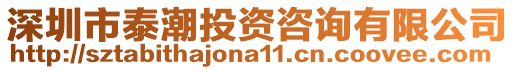 深圳市泰潮投資咨詢有限公司